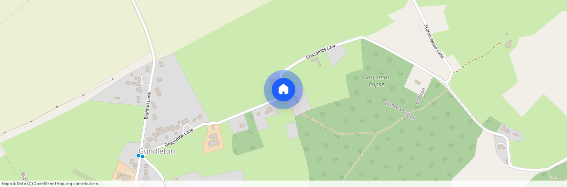 Goscombe Lane, Alresford, SO24