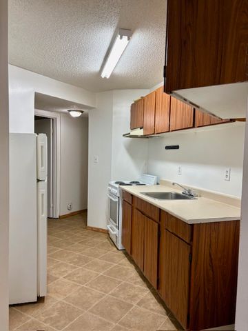 Alpine Lodge – Bachelor - Photo 3