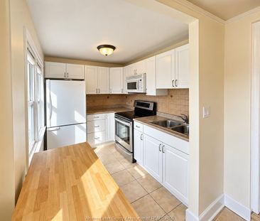 For Lease - 1057 ELLIS Street, Windsor, Ontario - Photo 3
