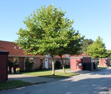 Dyrlægegården 8A-E, 10A-G - Vrå - Photo 3