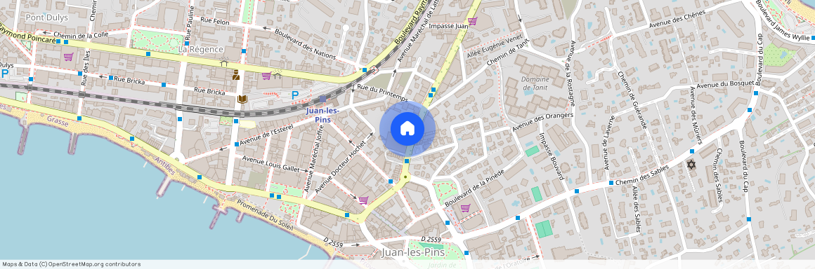 06160, Juan Les Pins