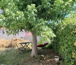 Μεζονέτα για ενοικίαση - Πανόραμα, - Φωτογραφία 5