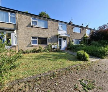 Martian Avenue - Photo 4