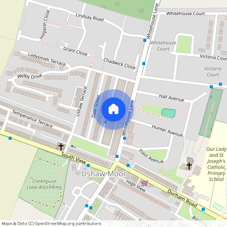 Arthur Street, Ushaw Moor, DH7