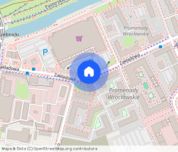 Studio | PetsFriendly | Do wynajęcia od zaraz | Promenady Wrocławskie - Photo 1