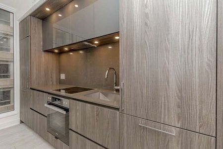 For Lease - 15 Mercer & Blue Jays Way Street Unit# 722, Toronto, Ontario - Photo 5