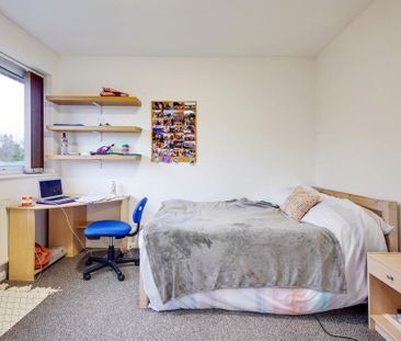 1 bedroom semi-detached house to rent - Photo 4