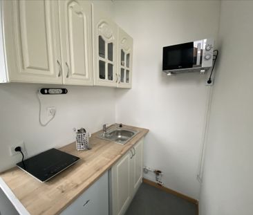 Location Appartement 1 pièce 14m² - Photo 3