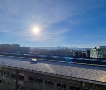 Location Appartement 1 pièce 39m² CLERMONT FERRAND 63000 - Photo 5