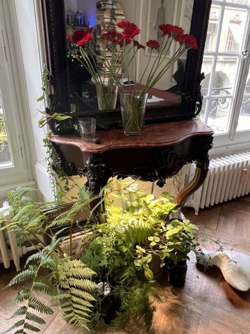 2-ROOM APARTMENT IN BERN - OLD CITY, FURNISHED, TEMPORARY - Photo 2