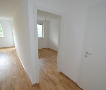 Annenviertel – 41 m² – 2 Zimmer-Wohnung – Studenten oder Singlewohnung - Foto 2