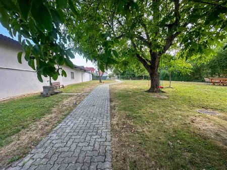Zentrale 3-Zimmer-Wohnung mit Gemeinschaftsgarten in Feldbach…! - Photo 5