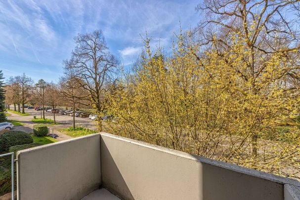 Ruhiges Wohnquartier in Riehen - Photo 1