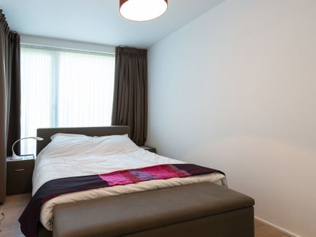 Wilderbos, Sint-Agatha-Berchem - Photo 4