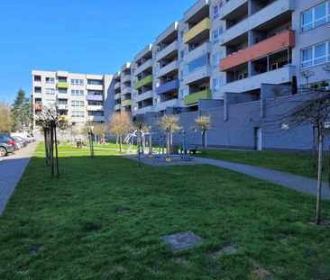 Łódź - Mieszkanie na wynajem - Photo 6