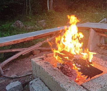 Älgvägen, Färjestaden - Foto 4