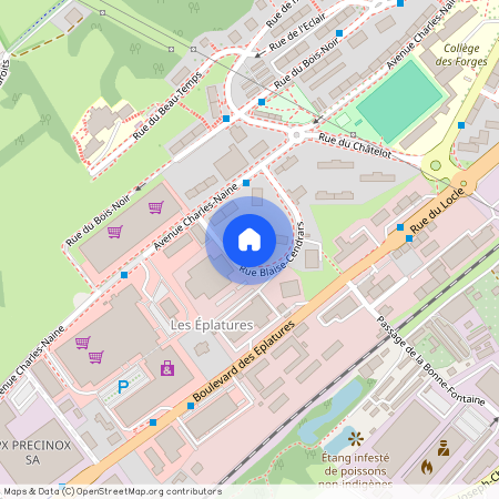 La Chaux-de-Fonds (Rue Blaise-Cendrars 12), Suisse