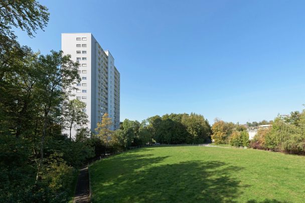 Vue imprenable sur le lac et les Alpes ! - Foto 1