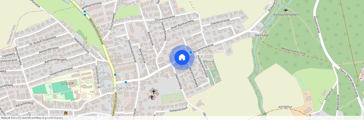 4513, Langendorf, Rüttenenstrasse, 36