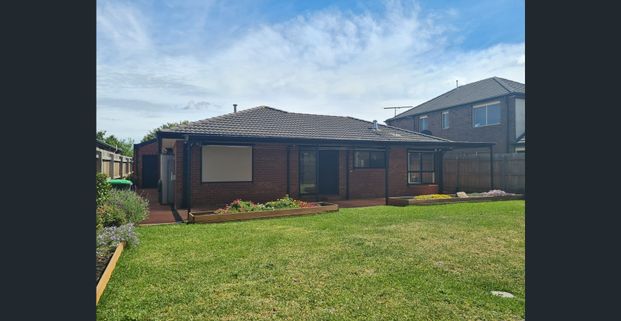 IMMACULATE FAMILY LIVING - Photo 1