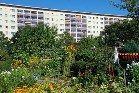 2-Raum-Wohnung mit Balkon nahe Zeisigwald - Foto 3