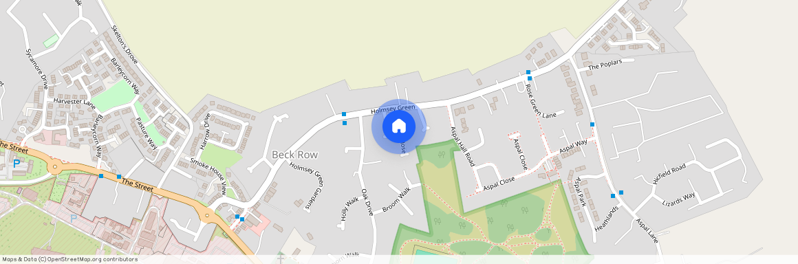 Elmcroft Close, Beck Row, BURY ST. EDMUNDS