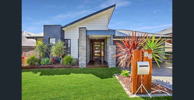 Spacious Four Bedroom Home! - Photo 1