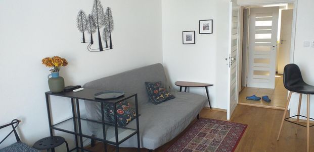 Pronájem bytu 1+1 35 m² - Photo 1