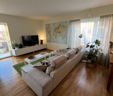 Långgatan, Höganäs - Photo 5