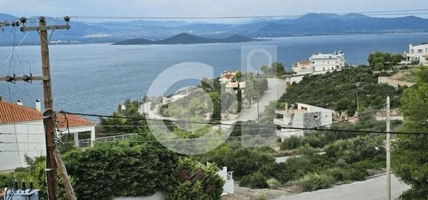 Διαμέρισμα για ενοικίαση Μαλεσίνα - Photo 1