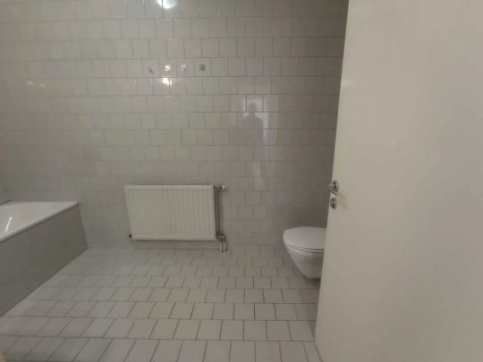 HOFRUHELAGE! Wunderschöne Singelwohnung – Nähe Westbahnhof - Foto 1