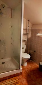 STUDIO MEUBLE - 29.59 m² - PARAY LE MONIAL - Photo 3