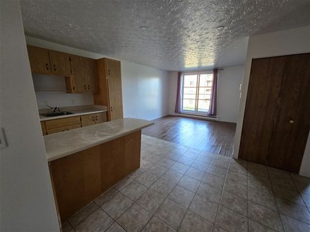 2080-204 rue Gauthier, Sherbrooke vacant - Photo 3