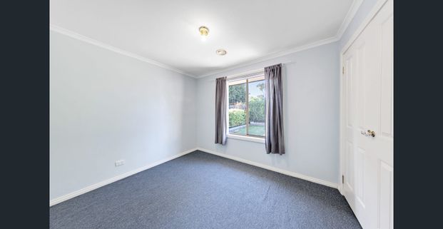 The Entertainer! - Photo 1