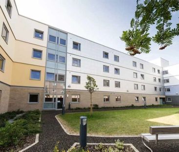 Deluxe Studio - Photo 6