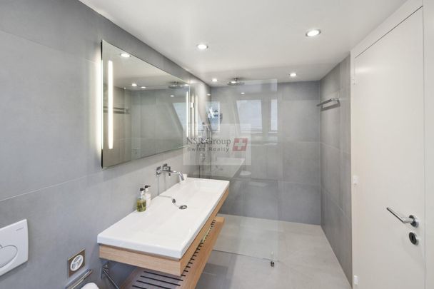 Luxury triplex apartment with Terrace and park - Furnished - Photo 1