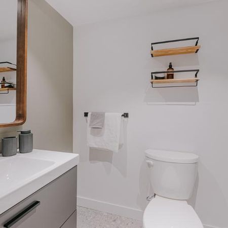 Loft entièrement meublé à louer Saint-Jean-Baptiste juillet 2026 - Photo 4