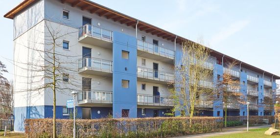 2-Zimmer Wohnung in Hamme für Senior*innen - Photo 2