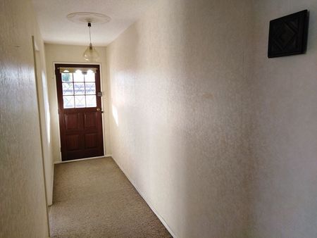 Sunny Private 2 Bedroooms lounge sheds glasshouse - Photo 5