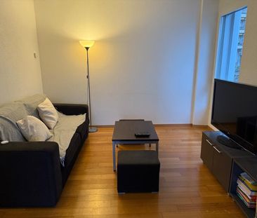 FOR RENT 2.5 FURNISHED ROOMS LAUSANNE - Photo 3