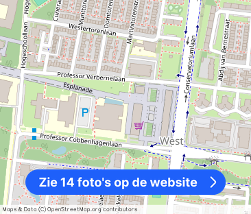 Professor de Moorplein 5037 DR Tilburg - Foto 1