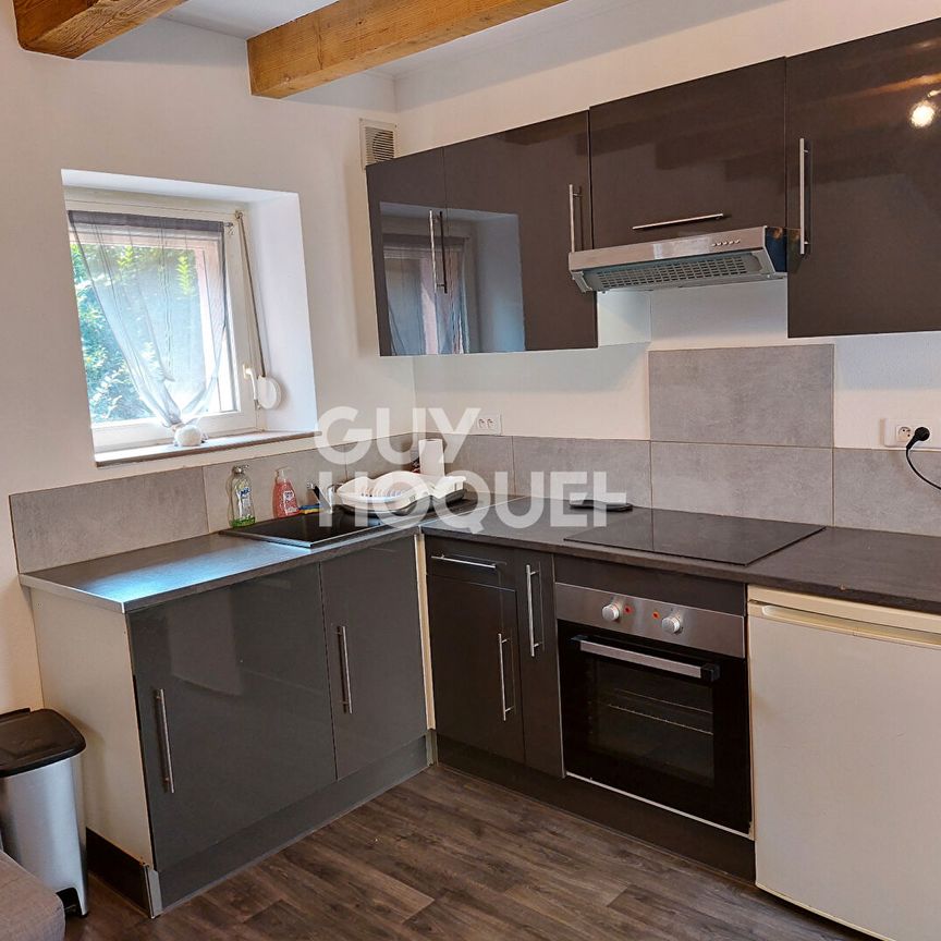 STEINBACH : maison meublée 2 pièces à louer - Photo 1