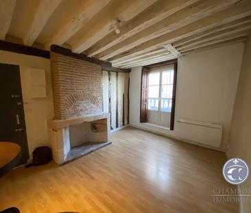 BLOIS Vienne - T2 de caractère - Photo 2