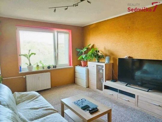 Byt 2+1 Nové Město na Moravě - Fotografie 1
