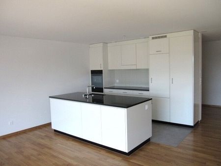 Ruhige Wohnlage im Ortszentrum von Bischofszell - Foto 3