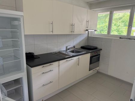Naherholung mit städtischen Vorzügen | Direkt an der Limmat - Foto 2