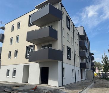 ERSTBEZUG „ein viertel grün“ in Wiener Neustadt - stilvolle 2 Zimme... - Photo 2