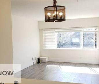 Ground level 1 bedroom unit with in-suite laundry & private patio - Photo 4