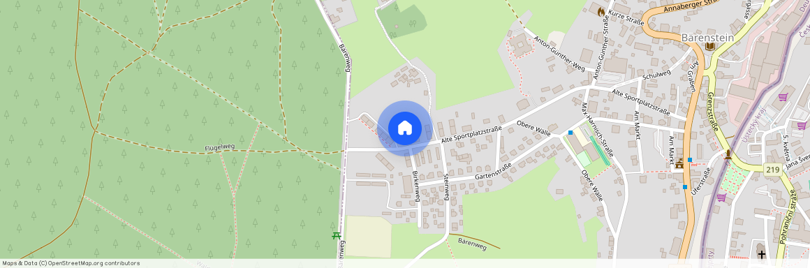 Alte Sportplatzstraße 48, 09471 Sachsen - Bärenstein