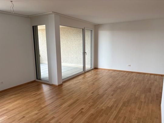 Moderne 2.5-Zimmer-Wohnungen in Egnach mit Seesicht - Foto 1
